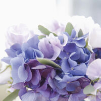 画像1742：デタージェント