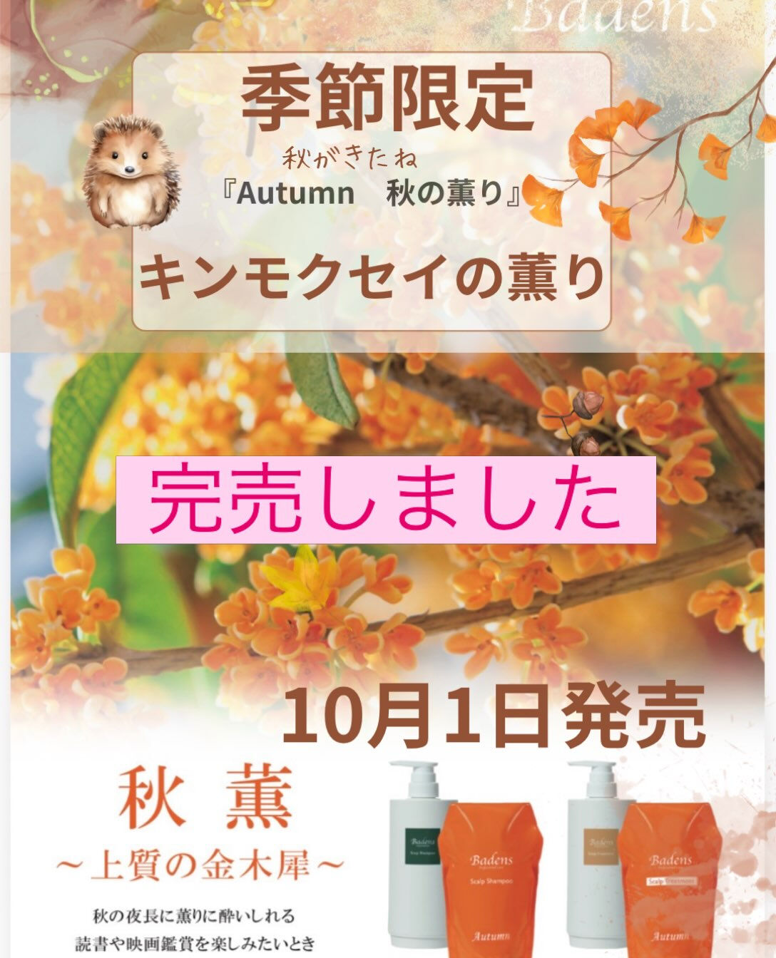 ✨🍂数量限定